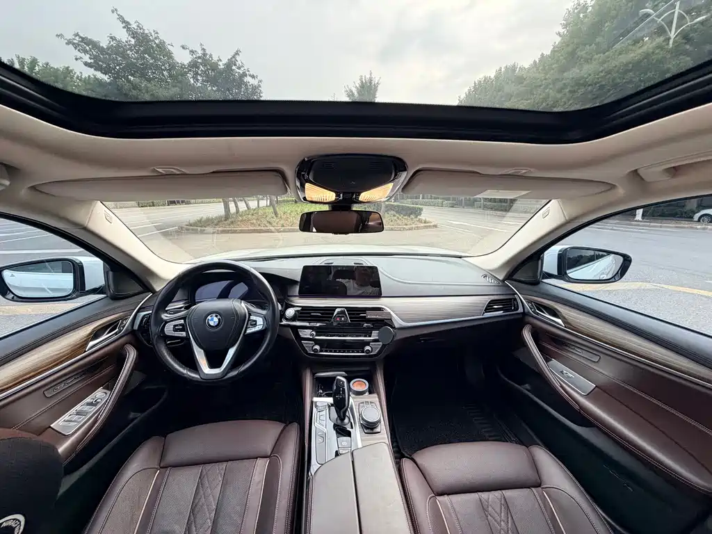 BMW 5 Series New Energy 2019