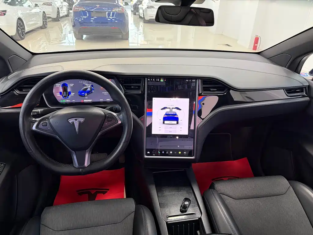 Tesla Model X 2019 — фото 6