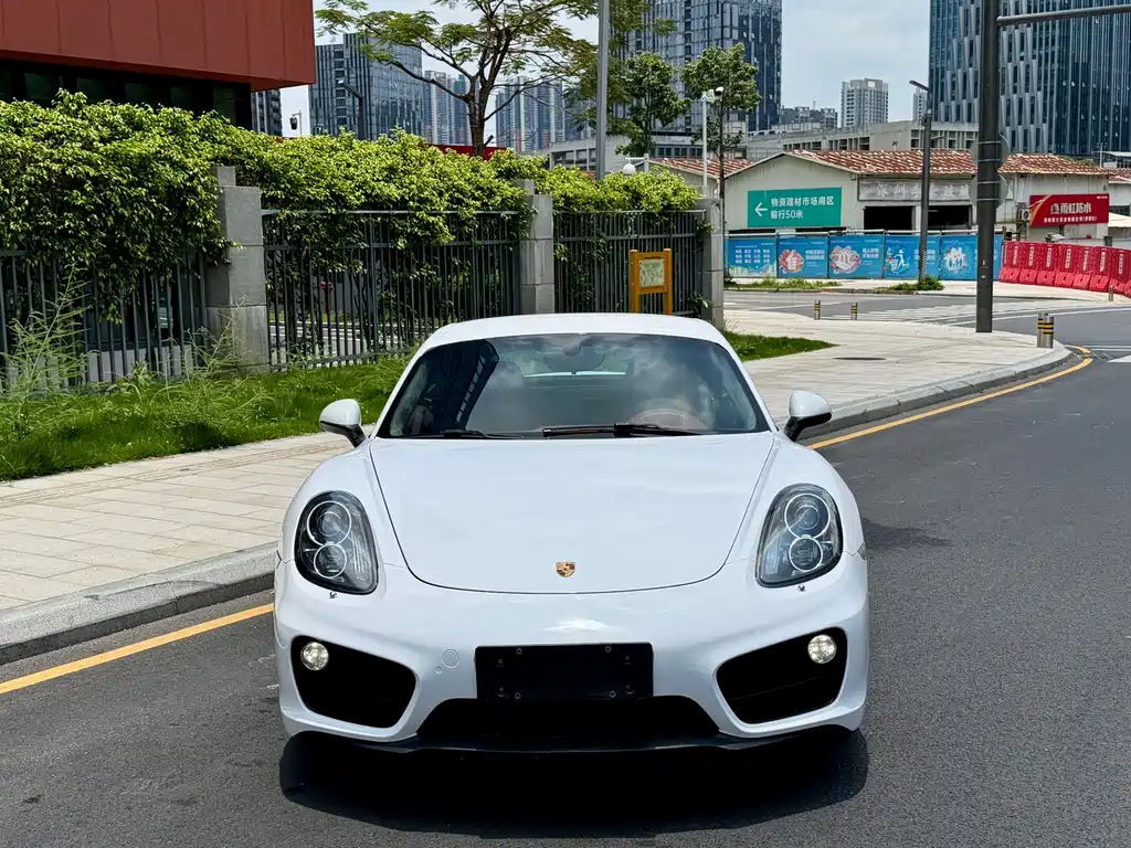 Porsche Cayman 2015 — фото 2