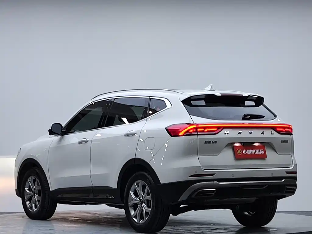 Haval H6 2023 — фото 18