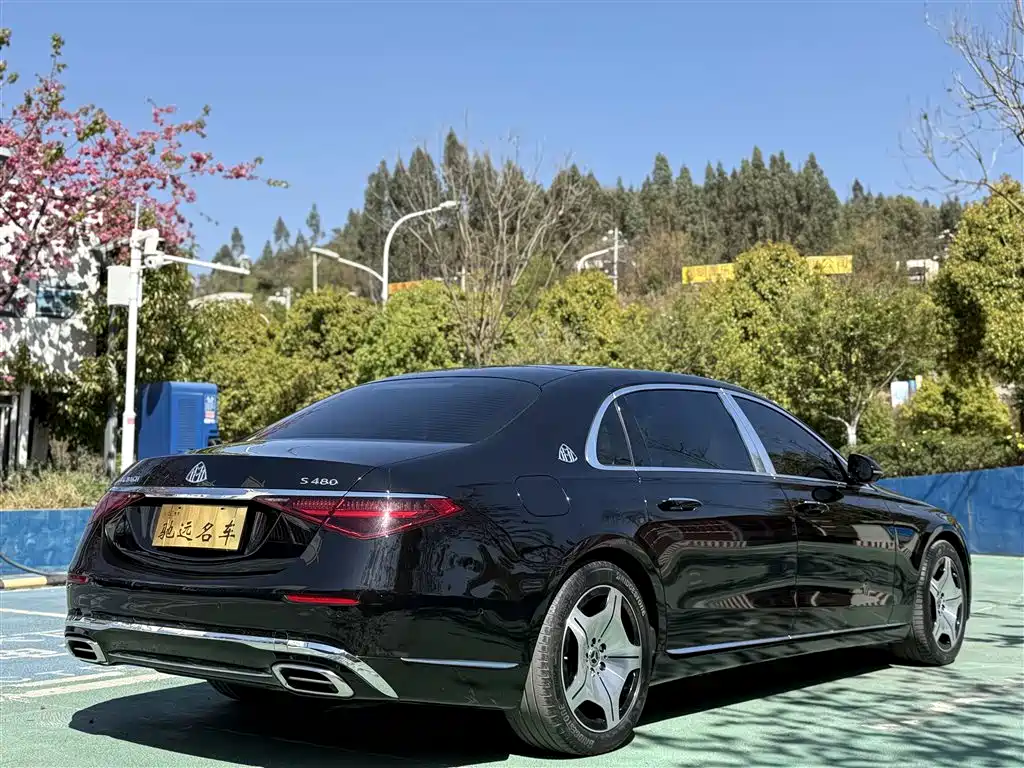 Mercedes-Benz S-Class 2022 — фото 15