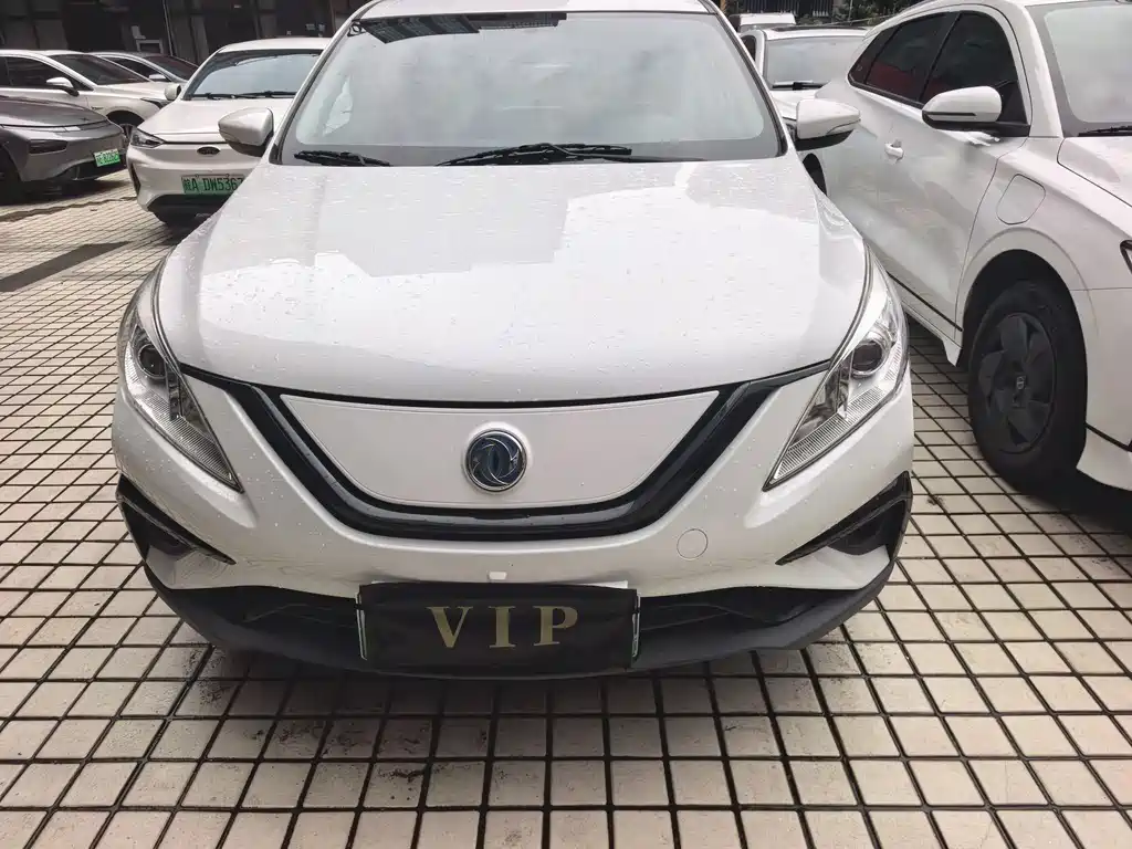 Dongfeng Fengxing S50EV 2021