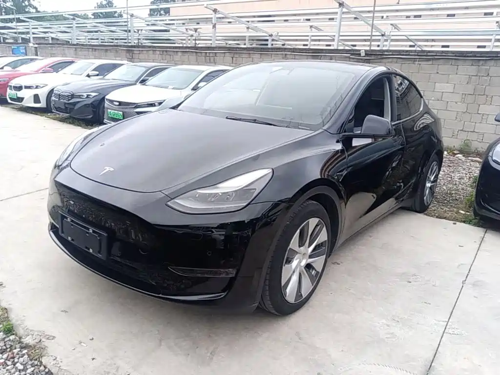 Tesla Model Y 2021 — фото 2