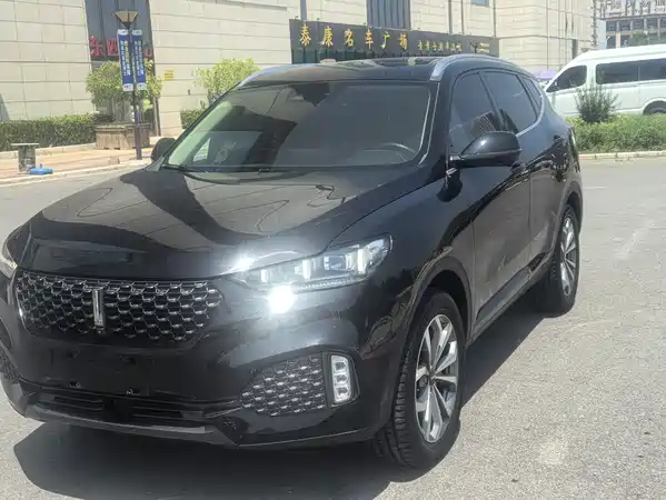 Wey VV6 2020