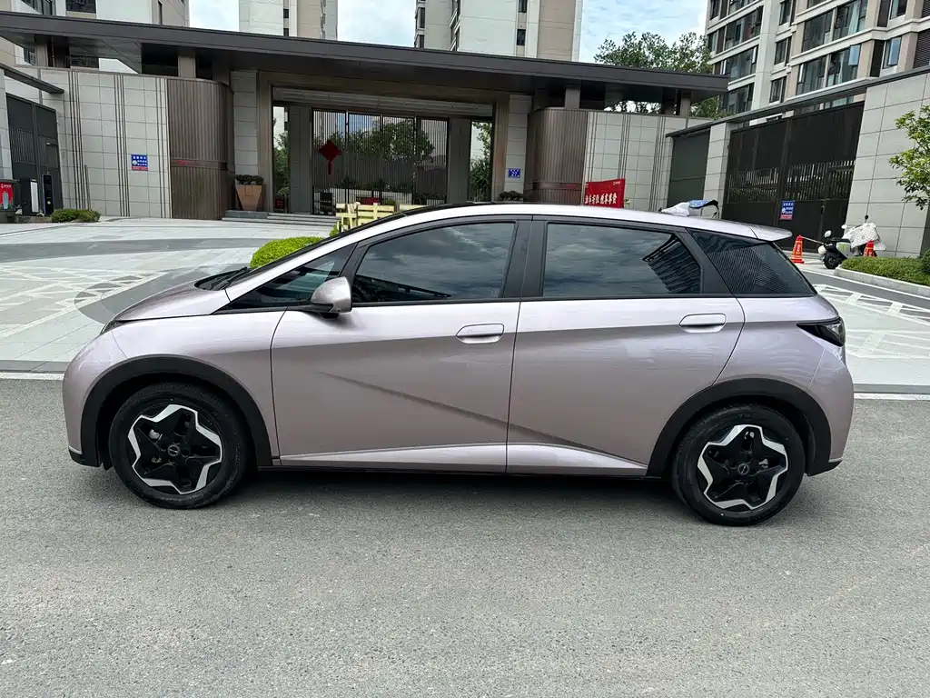 BYD Dolphin 2022