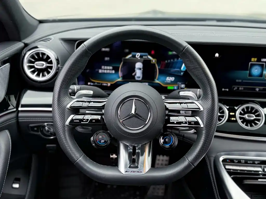 Mercedes-Benz AMG GT 2024 — фото 27