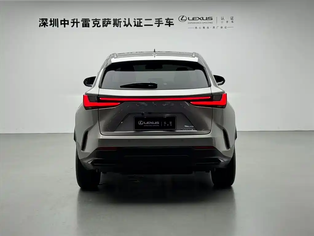 Lexus NX 2024 — фото 18