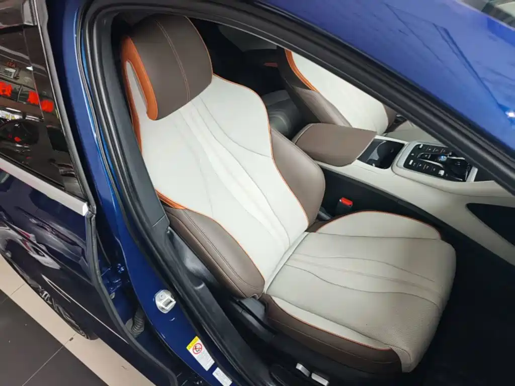 BYD Song Pro New Energy 2022 — фото 25