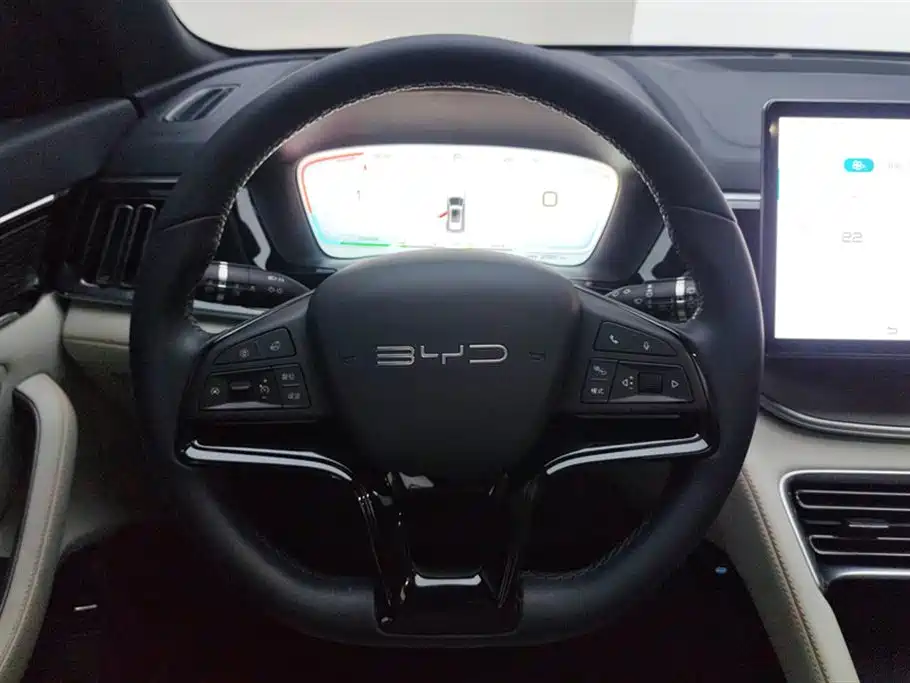 BYD Song PLUS New Energy 2024 — фото 15