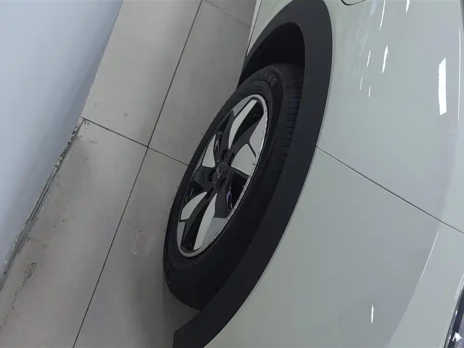 BYD Dolphin 2026
