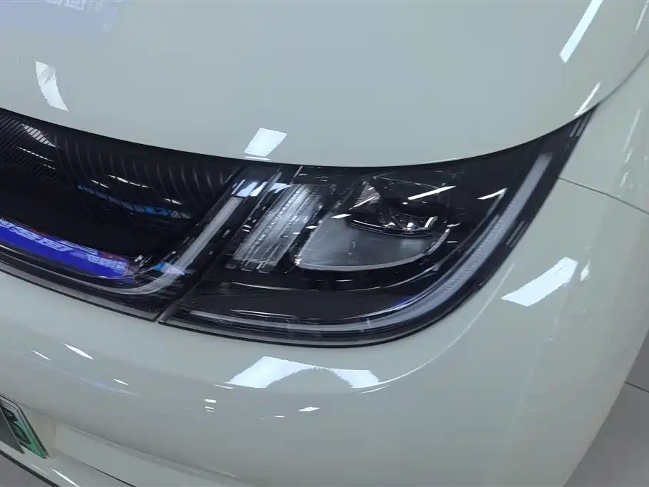 BYD Dolphin 2026