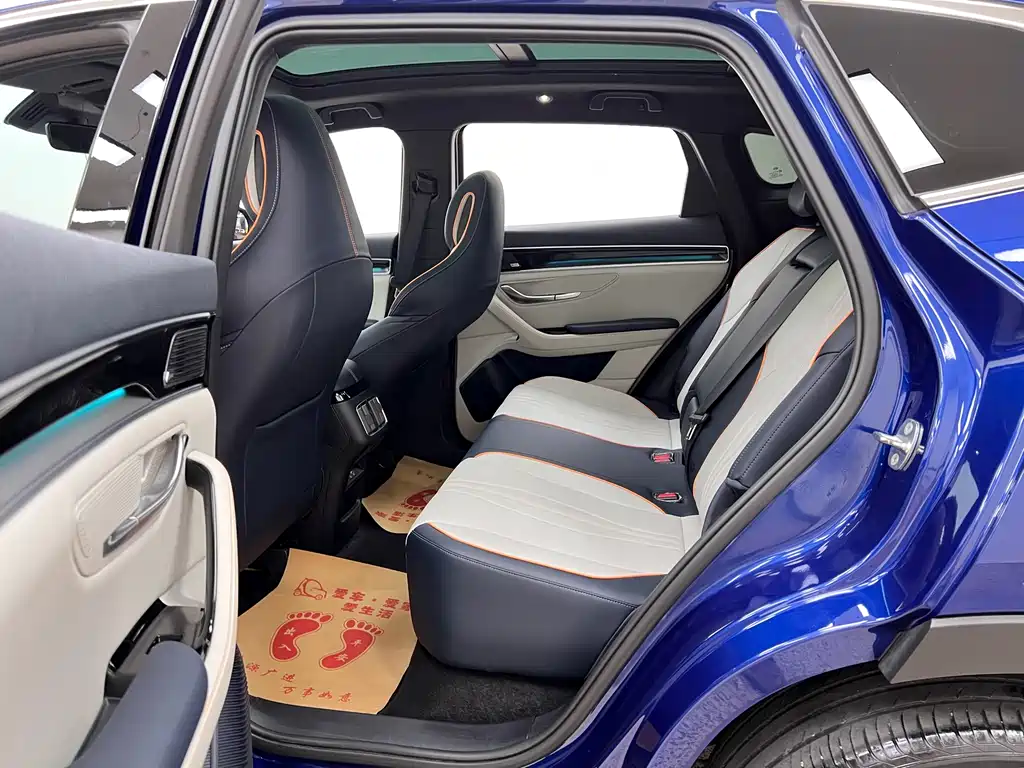 BYD PLUS New Energy 2022 — фото 16