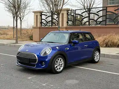 MINI MINI 2020