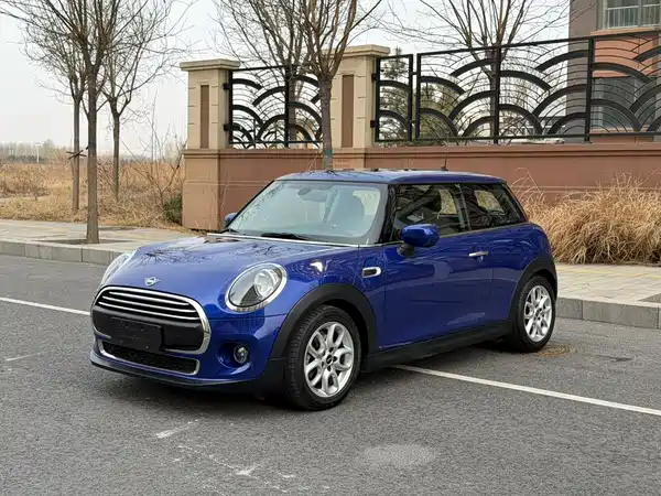 MINI MINI 2020