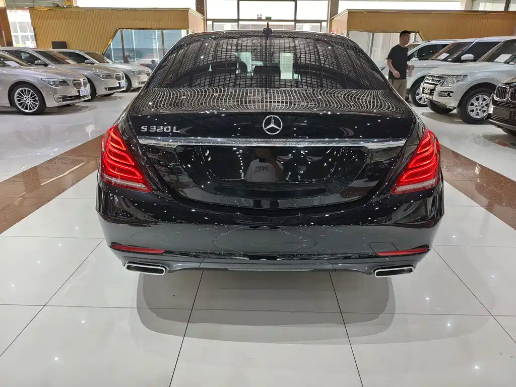 Mercedes-Benz S-Class 2014 — фото 12