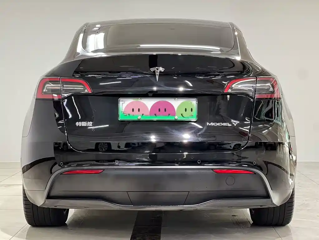 Tesla Model Y 2023 — фото 9
