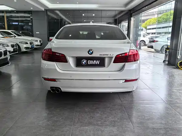 BMW 5 Series 2014