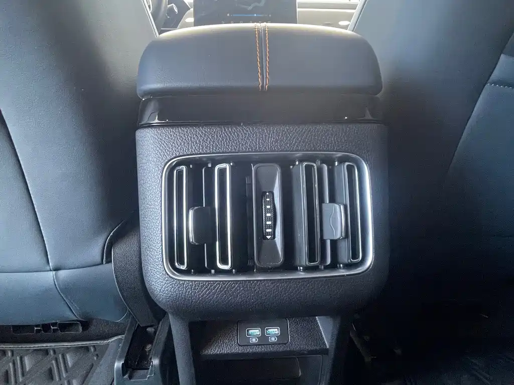 BYD Song PLUS New Energy 2022 — фото 10