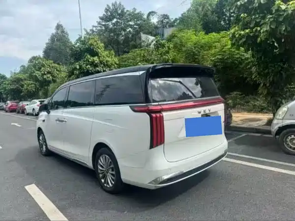 Wey Wey 2025