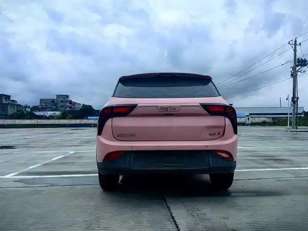 Neta V 2022
