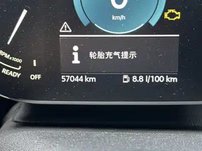 MINI MINI 2022