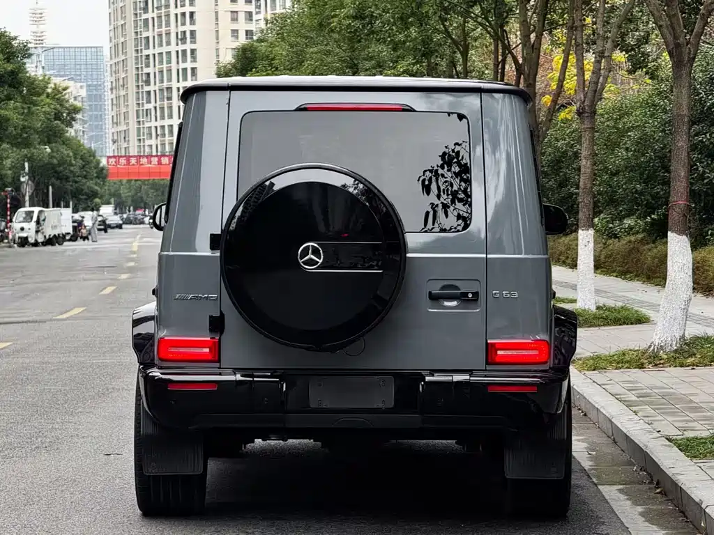 Mercedes-Benz G-Class 2018 — фото 16