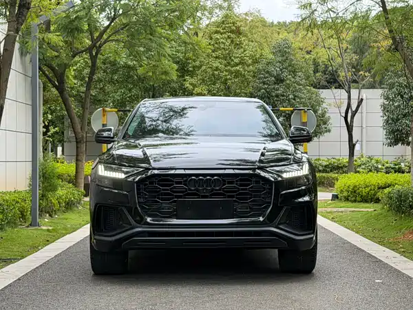 Audi Q8 2022