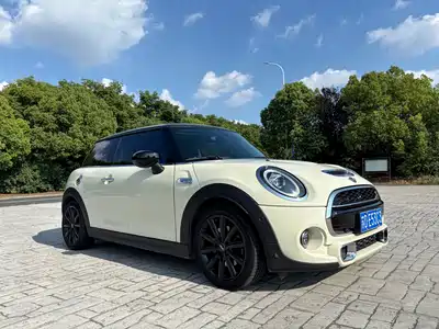 MINI MINI 2021