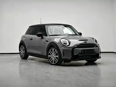 MINI MINI 2022