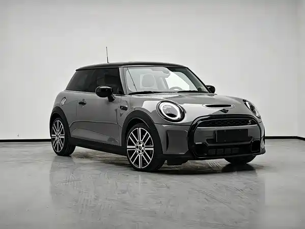 MINI MINI 2022