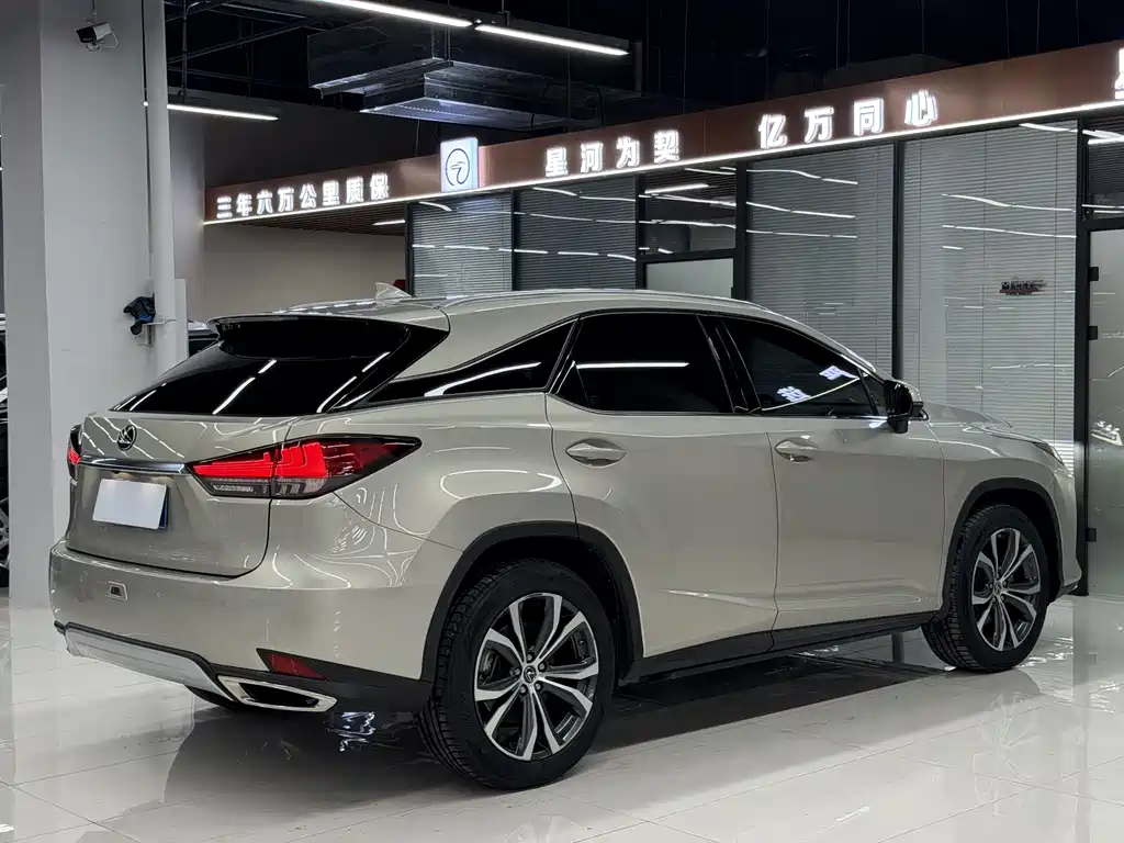 Lexus RX 2019 — фото 18