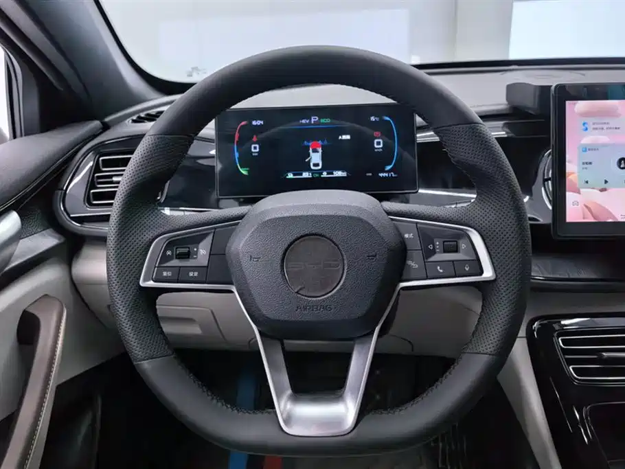 BYD Qin PLUS 2024 — фото 15