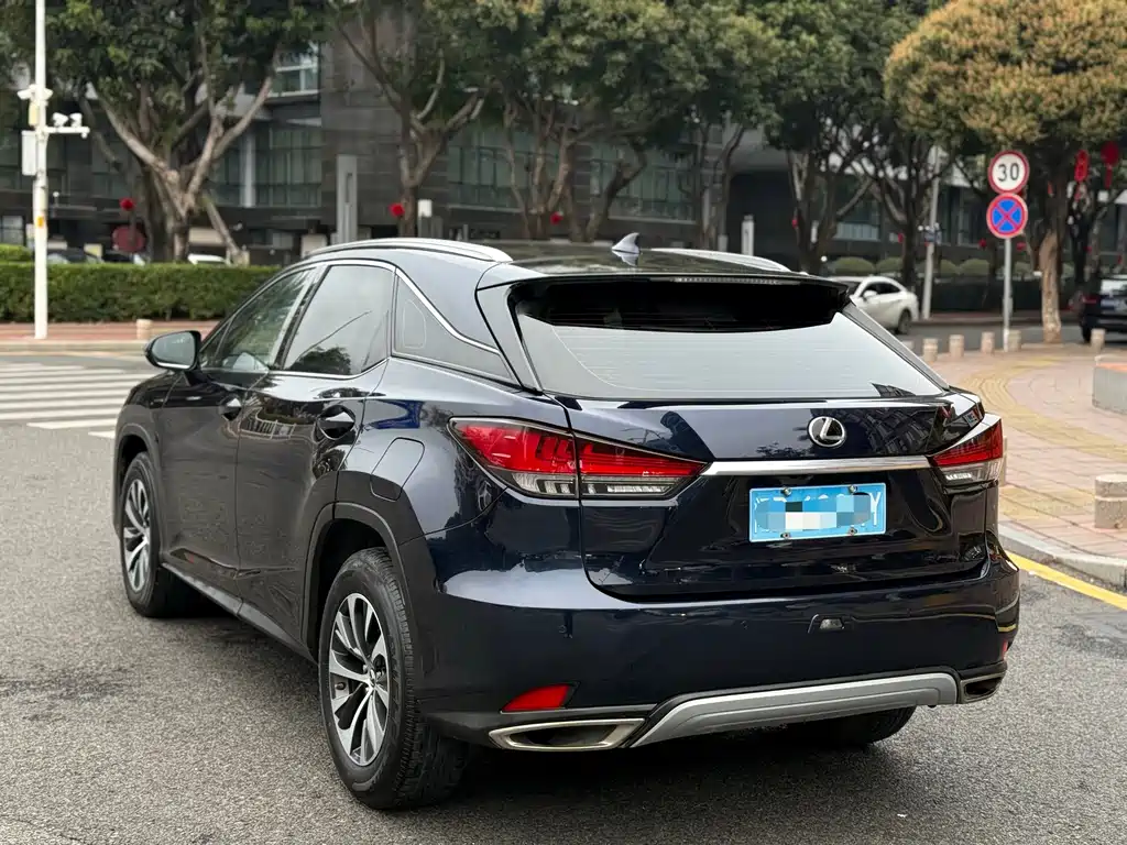 Lexus RX 2020 — фото 9