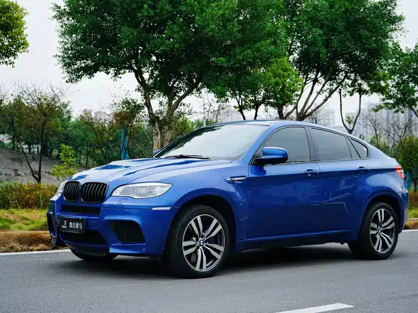 BMW X6 M 2010