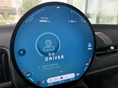 MINI MINI 2025