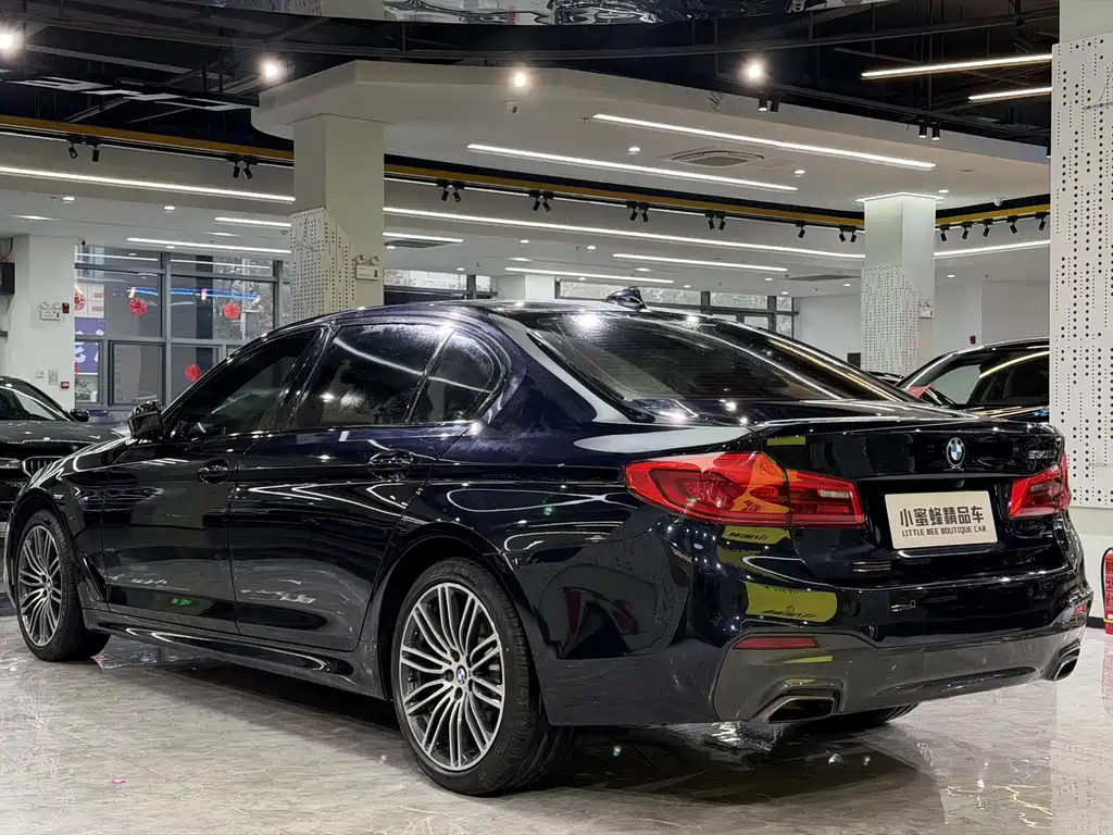 BMW 5 Series 2019 — фото 16