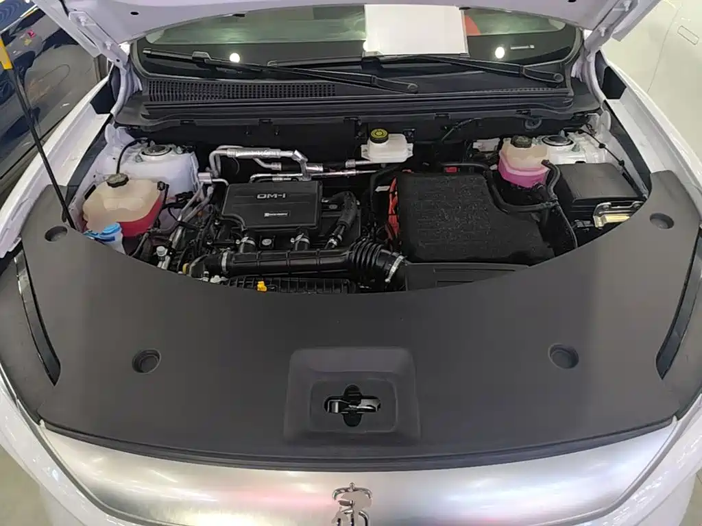 BYD Song Pro New Energy 2025 — фото 20