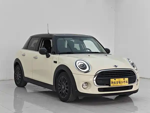 MINI 2019