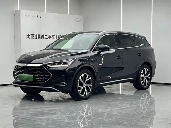 BYD Tang New Energy 2025