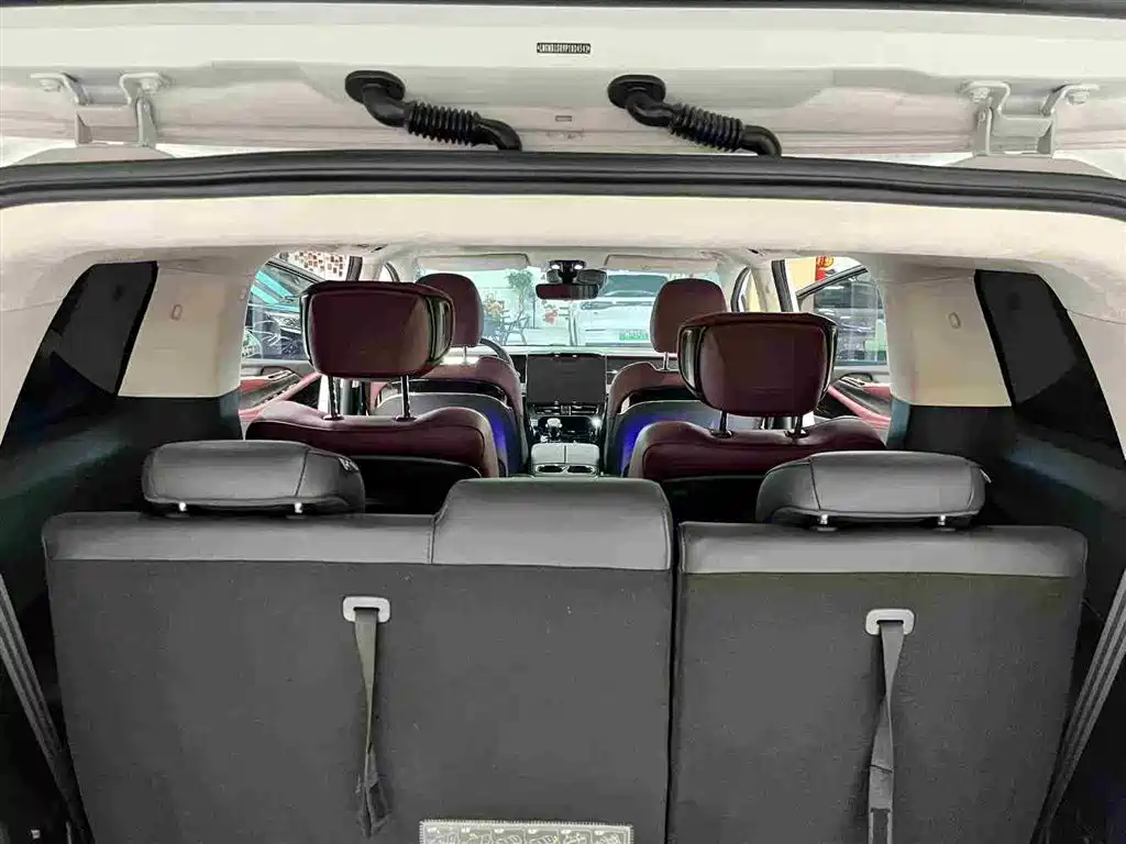 GAC Motor Trumpchi E9 2024 — фото 14