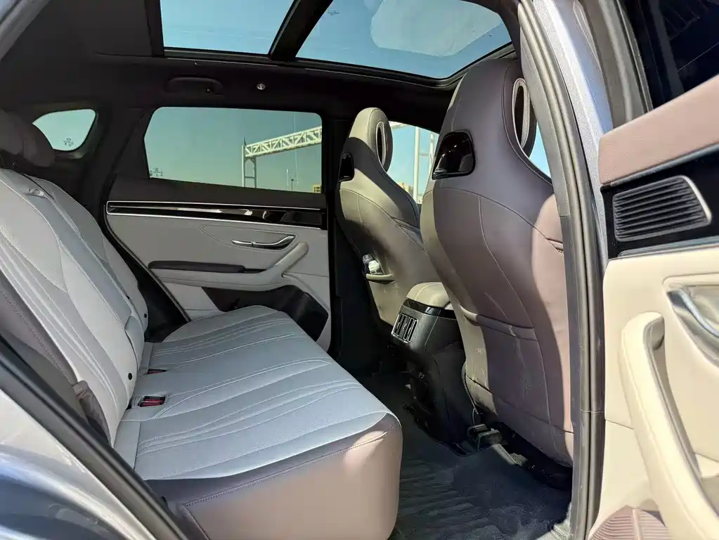 BYD Song PLUS New Energy 2025 — фото 9
