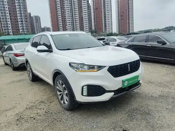Wey VV6 2019