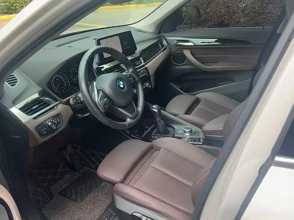 BMW X1 New Energy 2020
