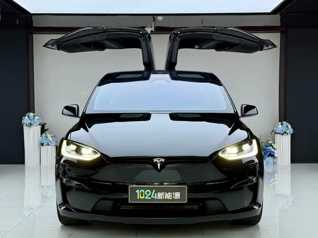 Tesla Model X 2024 — фото 2