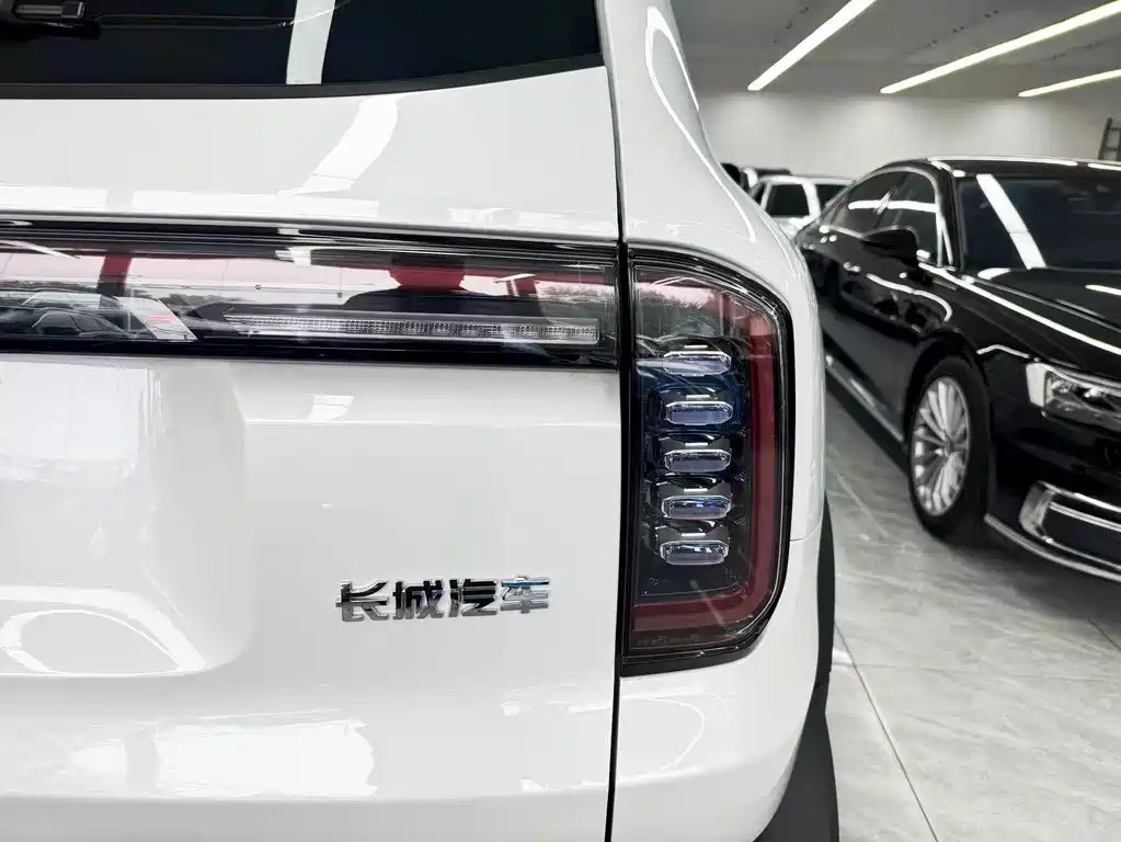 Haval Big Dog 2025 — фото 25