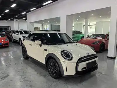 MINI MINI 2022