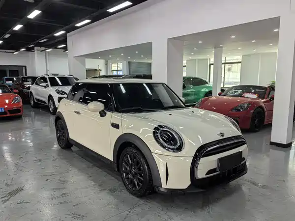 MINI MINI 2022