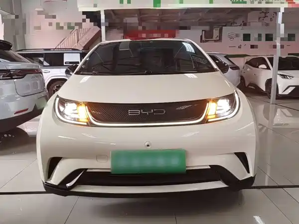 BYD Dolphin 2024