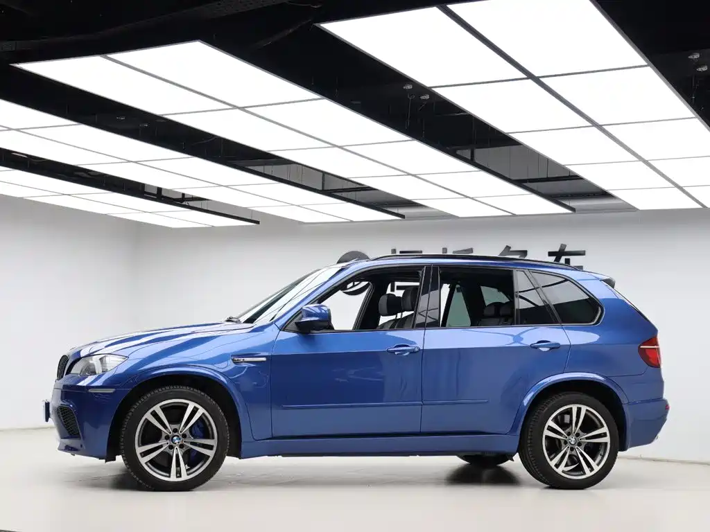 BMW X5 M 2010 — фото 29