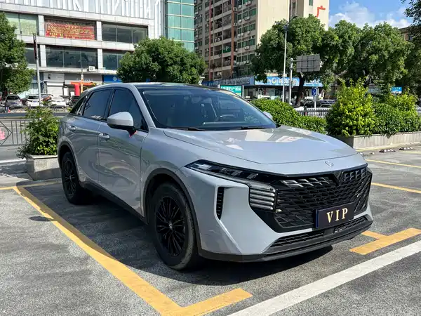 Venucia Big V 2022